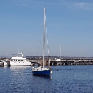 Meet your Posher, Patrickson